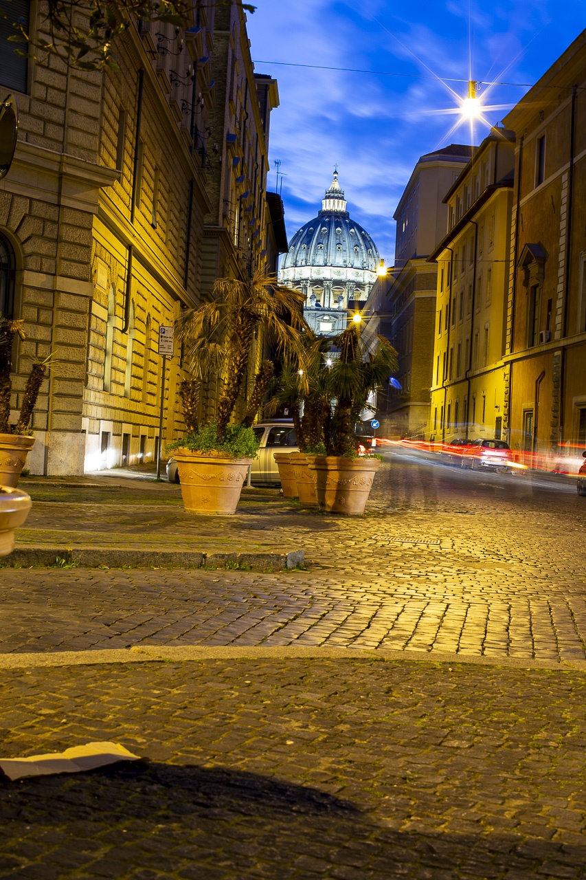 A view of St. Peter's Basilica illuminated at dusk, with palm trees in pots in the foreground.